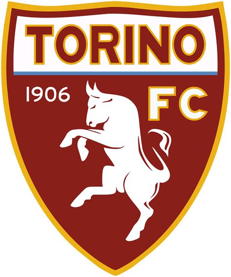 torino soccer